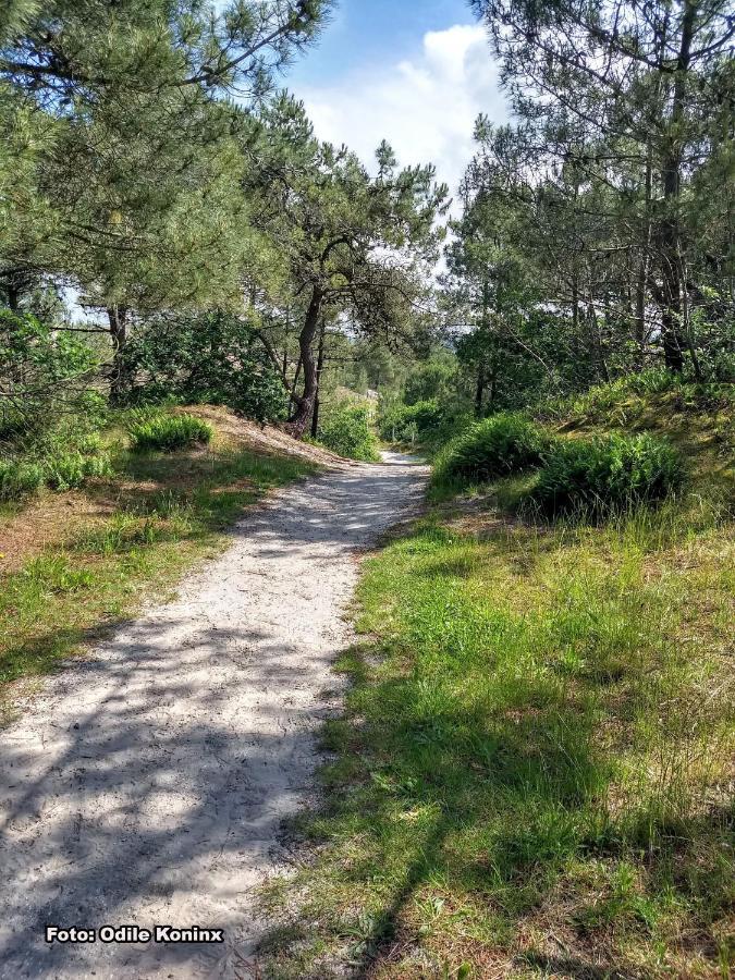 Вілла Klein Heemshof - Noord Holland Aan Uw Voeten Warmenhuizen Екстер'єр фото