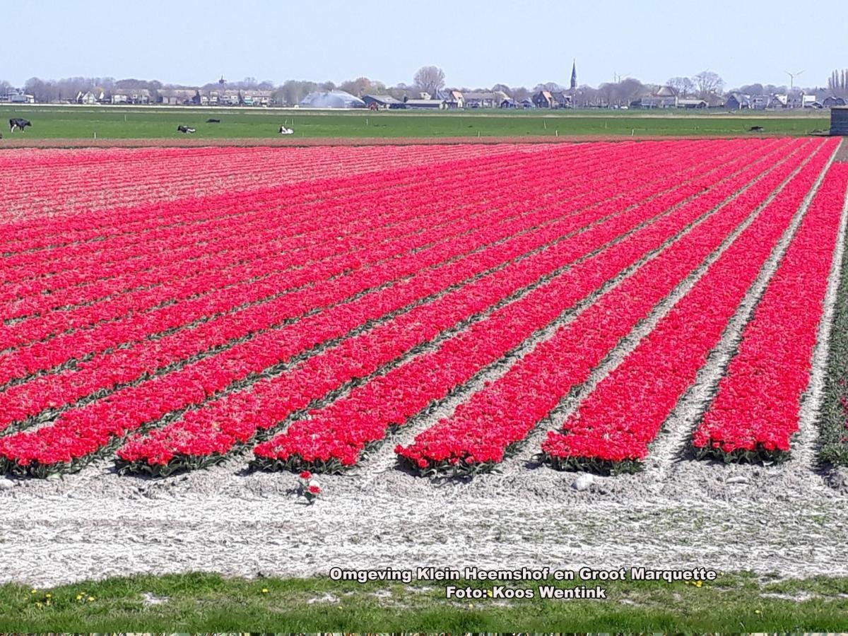 Вілла Klein Heemshof - Noord Holland Aan Uw Voeten Warmenhuizen Екстер'єр фото