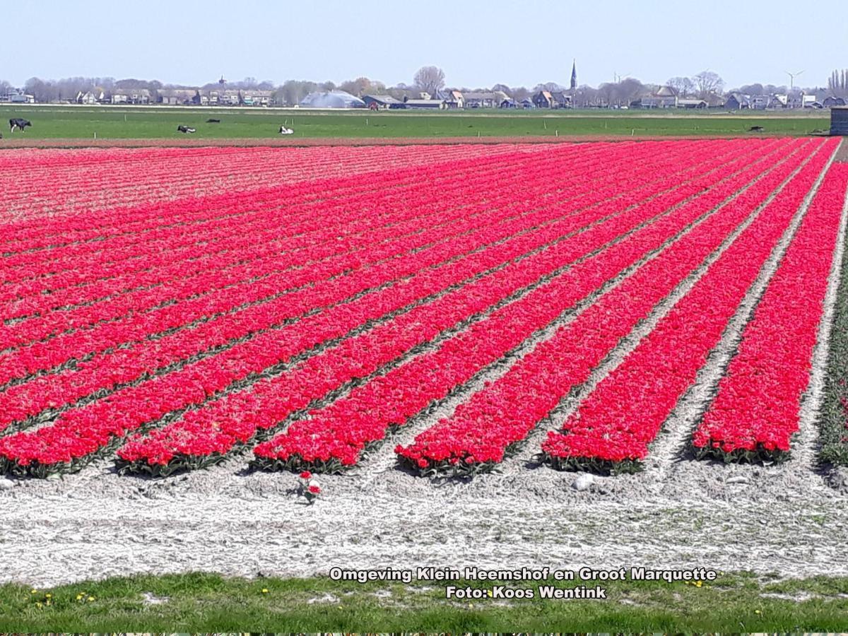 Klein Heemshof - Noord Holland Aan Uw Voeten Warmenhuizen Екстер'єр фото