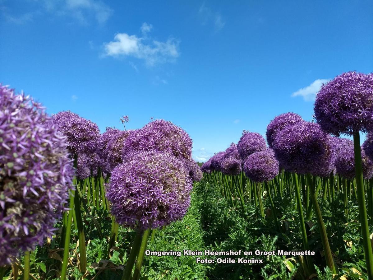 Вілла Klein Heemshof - Noord Holland Aan Uw Voeten Warmenhuizen Екстер'єр фото