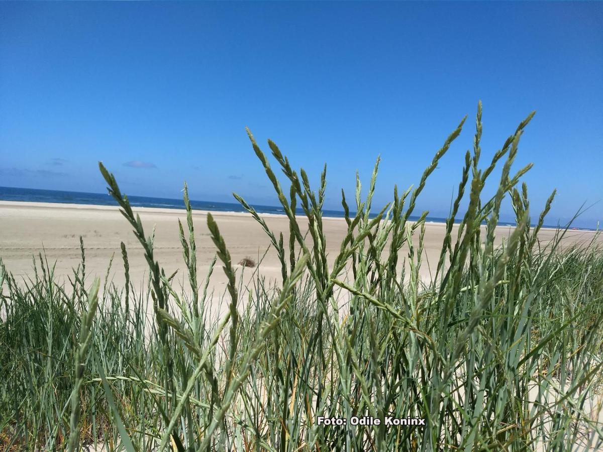 Вілла Klein Heemshof - Noord Holland Aan Uw Voeten Warmenhuizen Екстер'єр фото